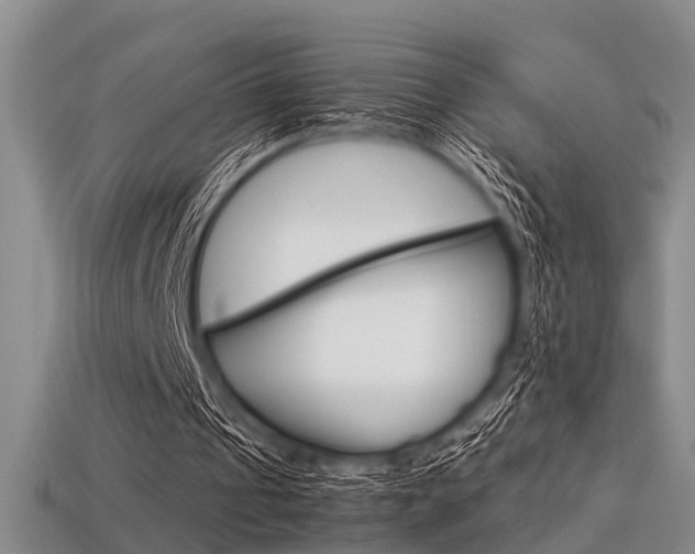 X0000113600241200909181115