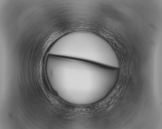 X0000113600242200909181115