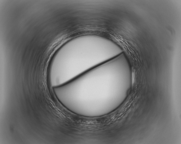 X0000113600243200909181115