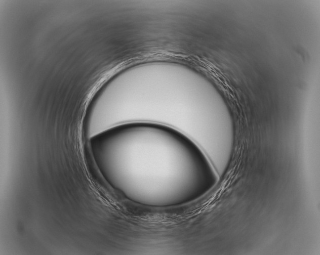 X0000113600244200909181115