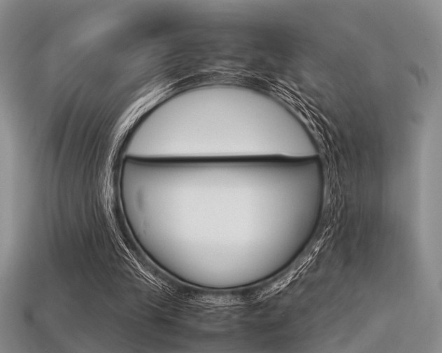 X0000113600245200909181115