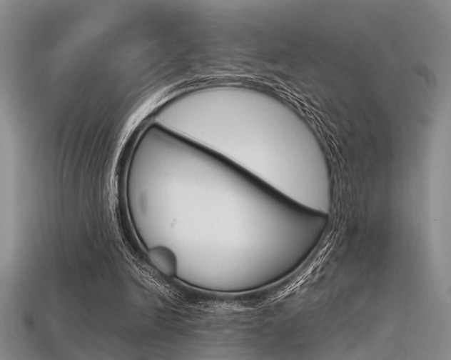 X0000113600246200909181115