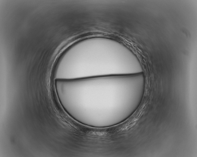 X0000113600247200909181115