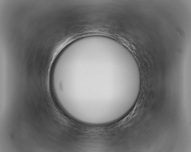 X0000113600248200909181115