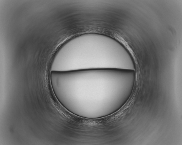 X0000113600249200909181115