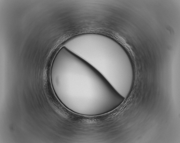 X0000113600250200909181115