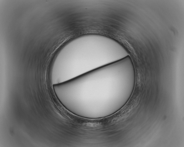 X0000113600251200909181115