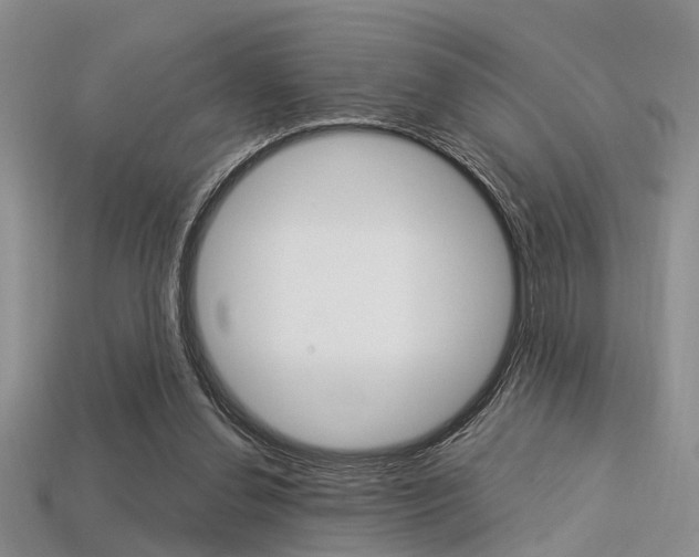 X0000113600252200909181115