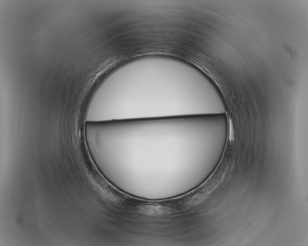 X0000113600253200909181115