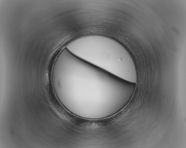 X0000113600254200909181115