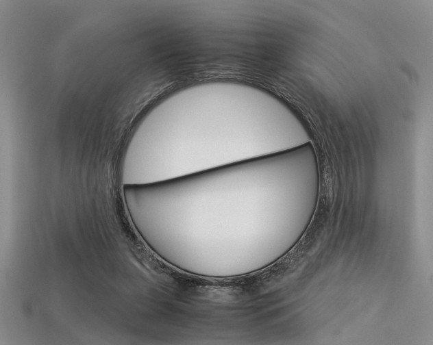 X0000113600255200909181115