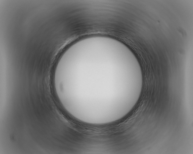 X0000113600256200909181115