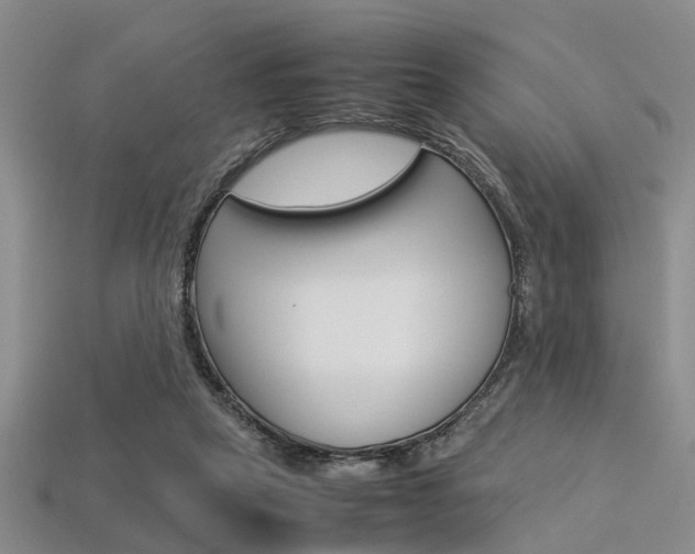 X0000113600257200909181115