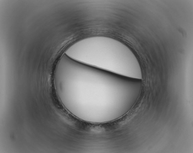 X0000113600258200909181115