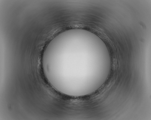 X0000113600259200909181115