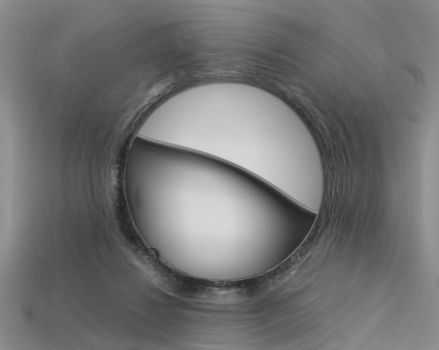 X0000113600260200909181115