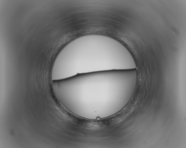 X0000113600261200909181115