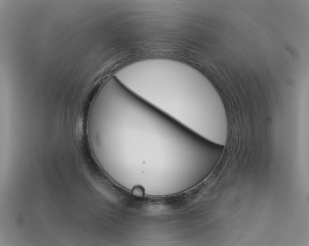 X0000113600262200909181115