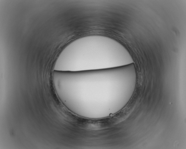 X0000113600263200909181115