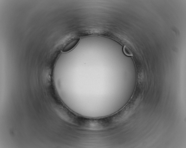 X0000113600264200909181115