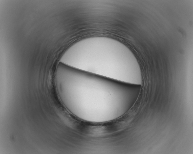 X0000113600266200909181115