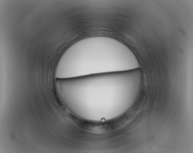 X0000113600267200909181115