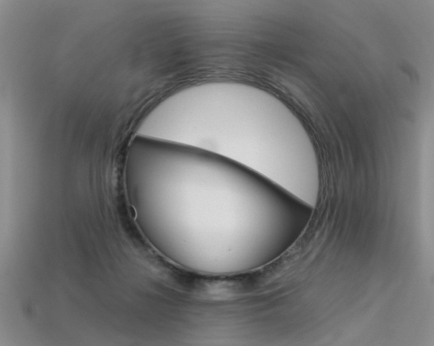 X0000113600268200909181115