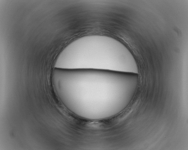 X0000113600269200909181115