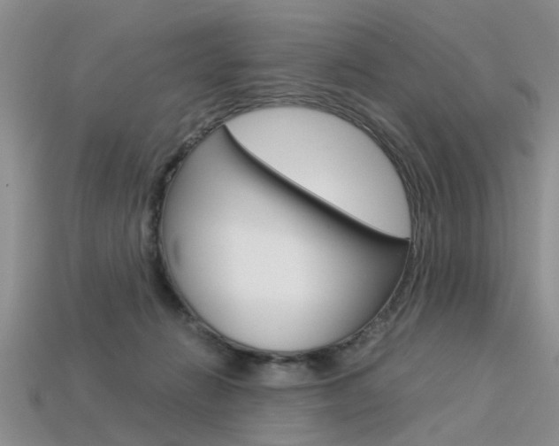 X0000113600270200909181115