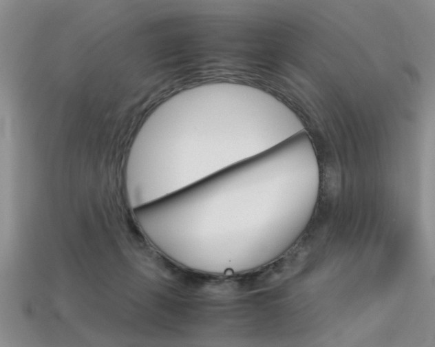 X0000113600271200909181115