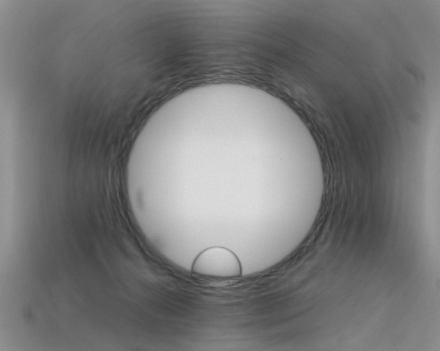 X0000113600272200909181115