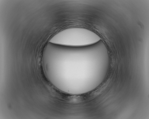 X0000113600273200909181115