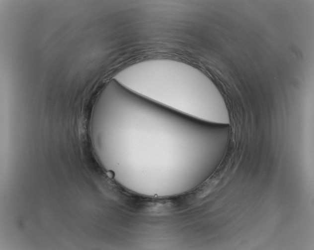 X0000113600274200909181115