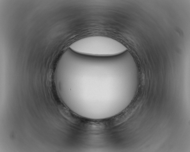 X0000113600275200909181115