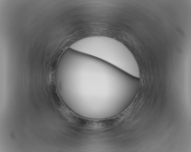 X0000113600276200909181115