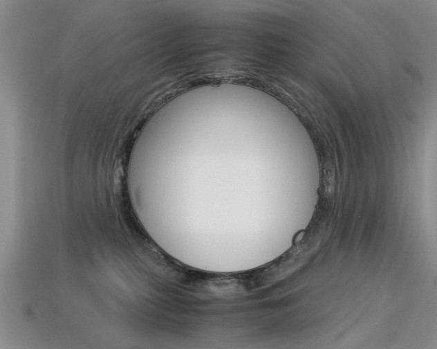 X0000113600279200909181115