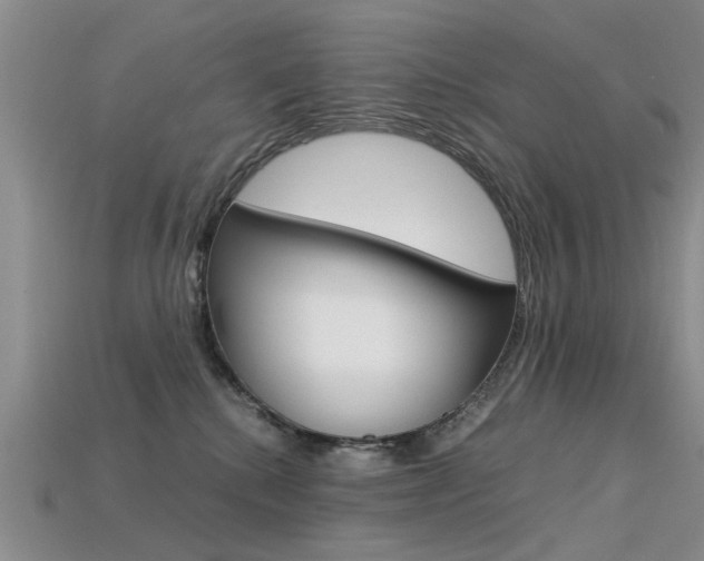 X0000113600280200909181115