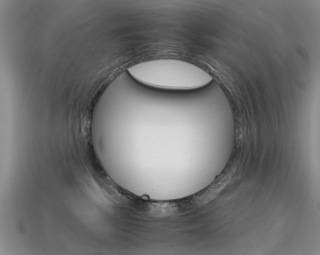 X0000113600281200909181115