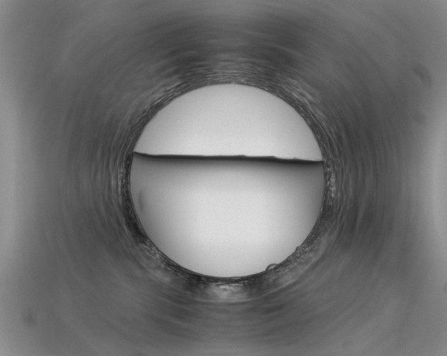 X0000113600283200909181115