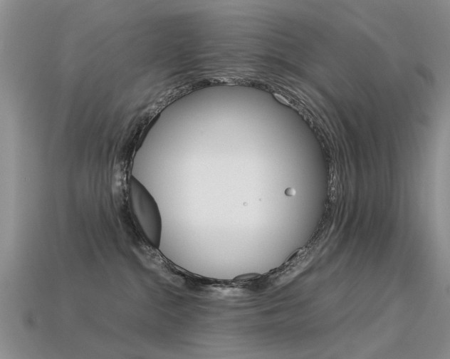 X0000113600284200909181115