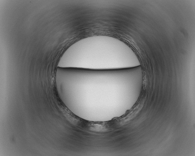 X0000113600285200909181115