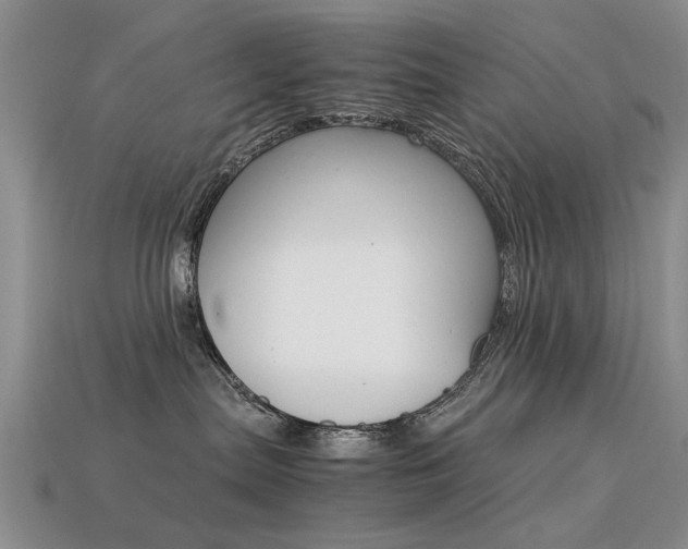 X0000113600287200909181115