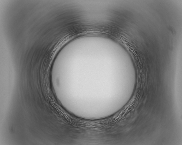 X0000113600289200909181115