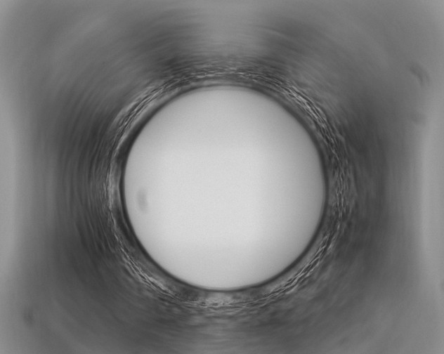 X0000113600290200909181115