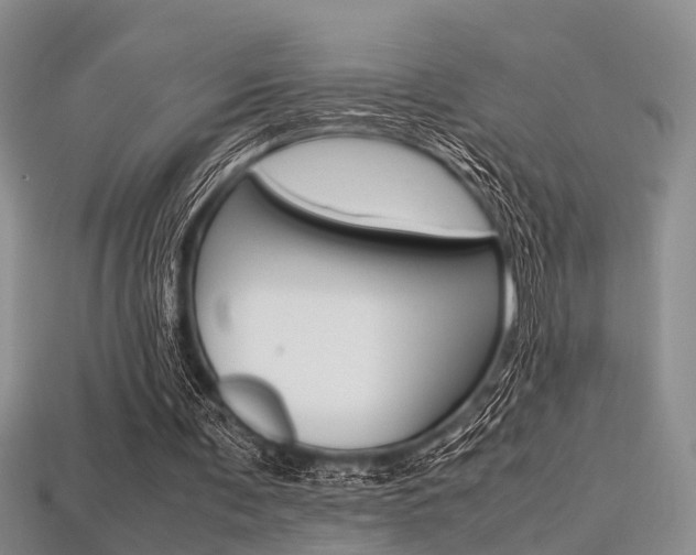 X0000113600291200909181115