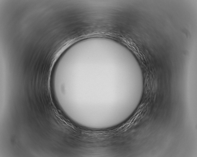 X0000113600292200909181115