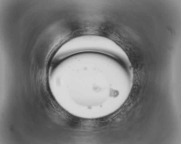 X0000113600293200909181115