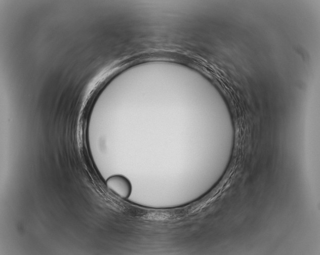 X0000113600294200909181115