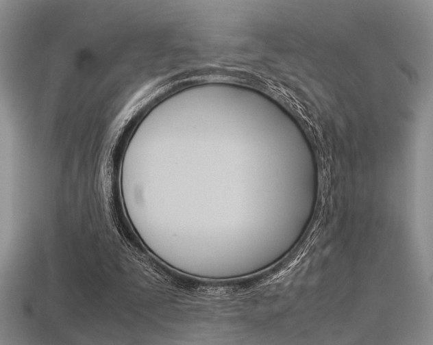 X0000113600295200909181115