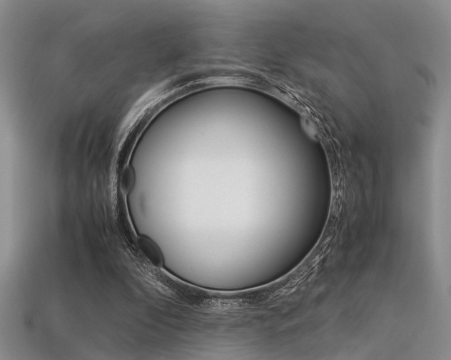 X0000113600296200909181115